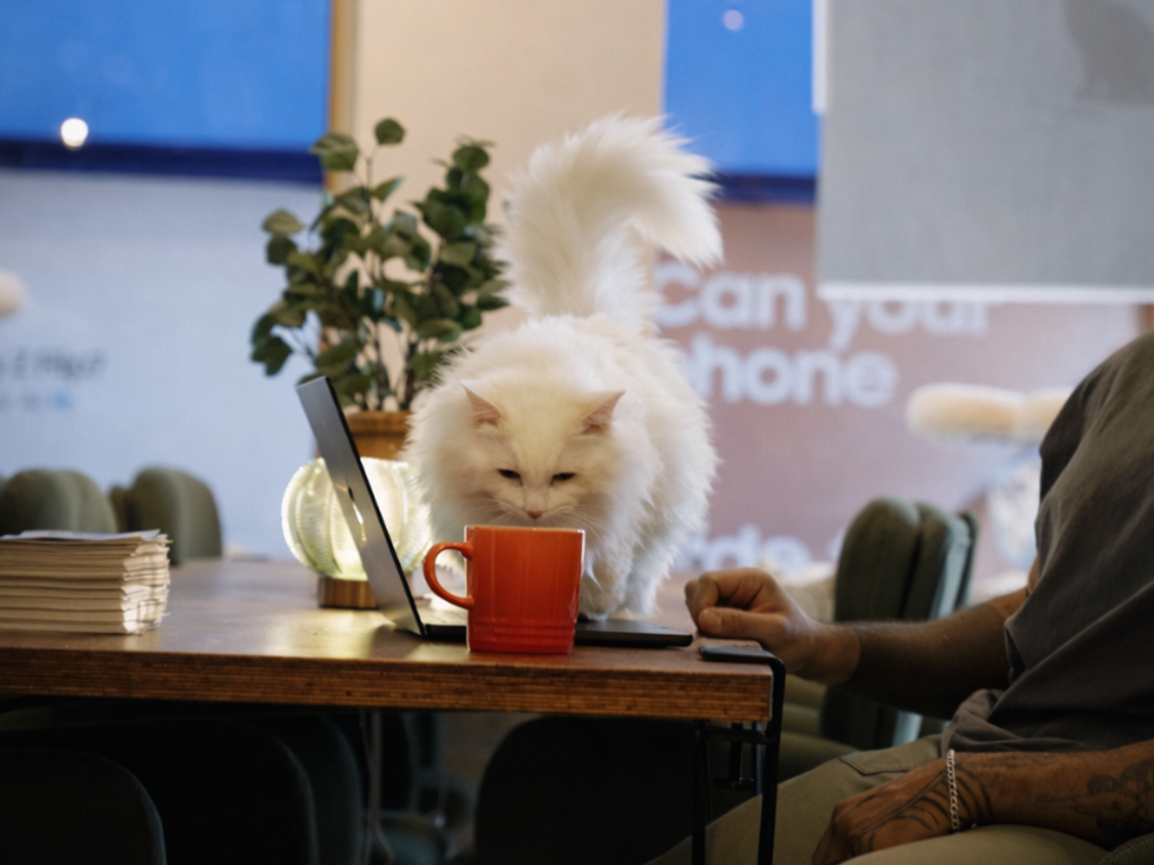 Coworking area