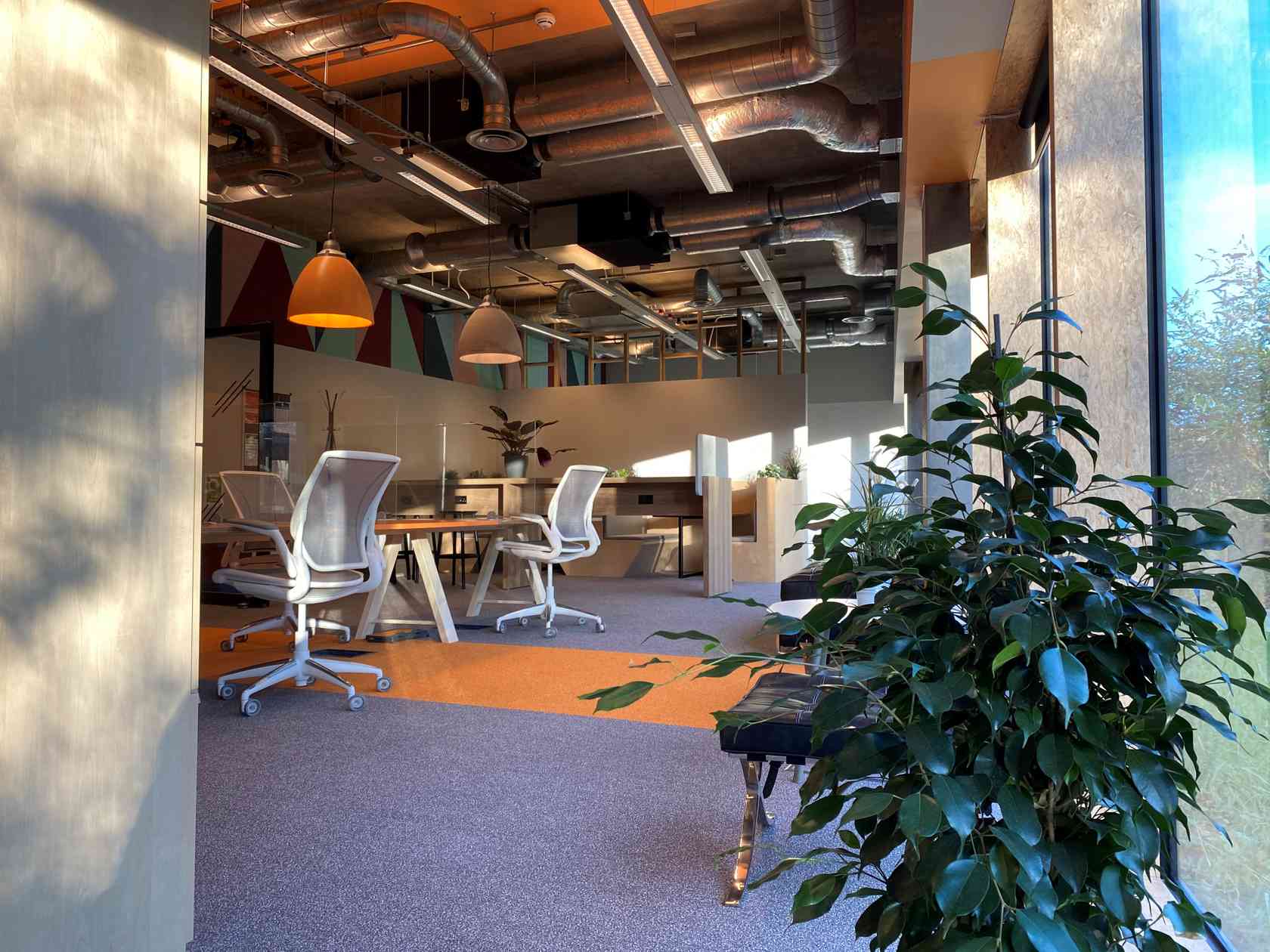Coworking area