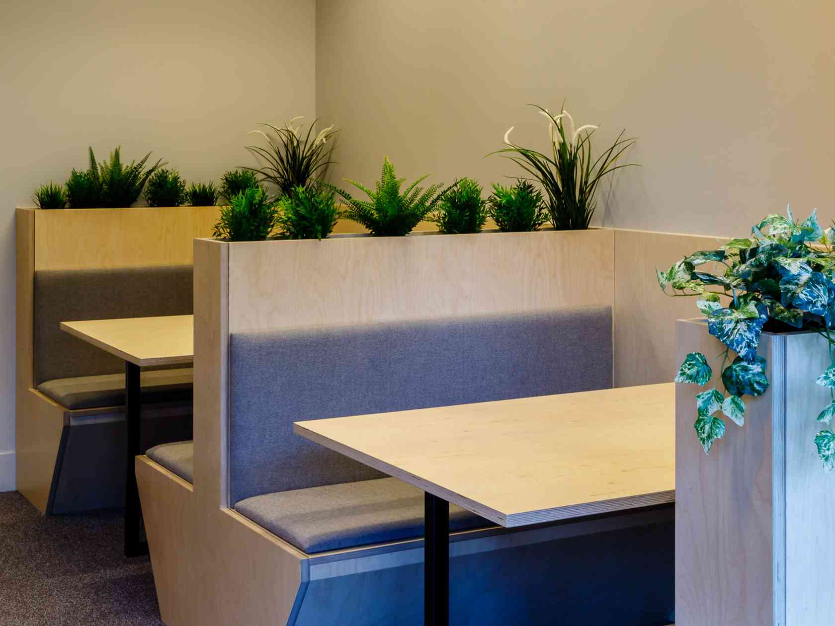 Breakout area