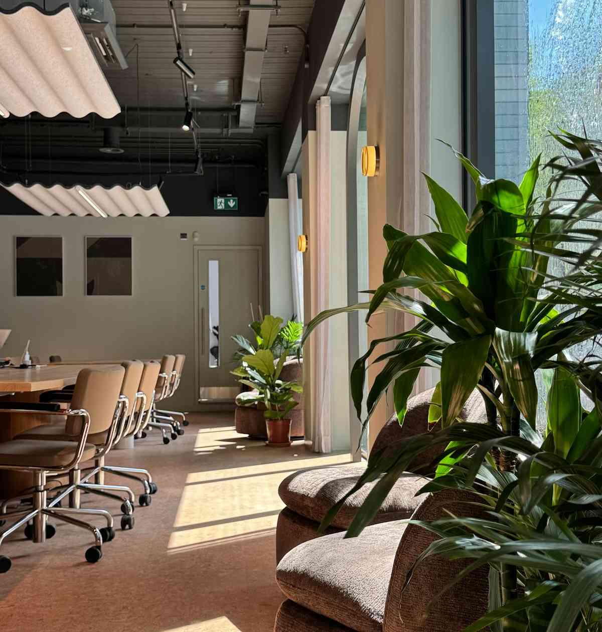 Coworking area