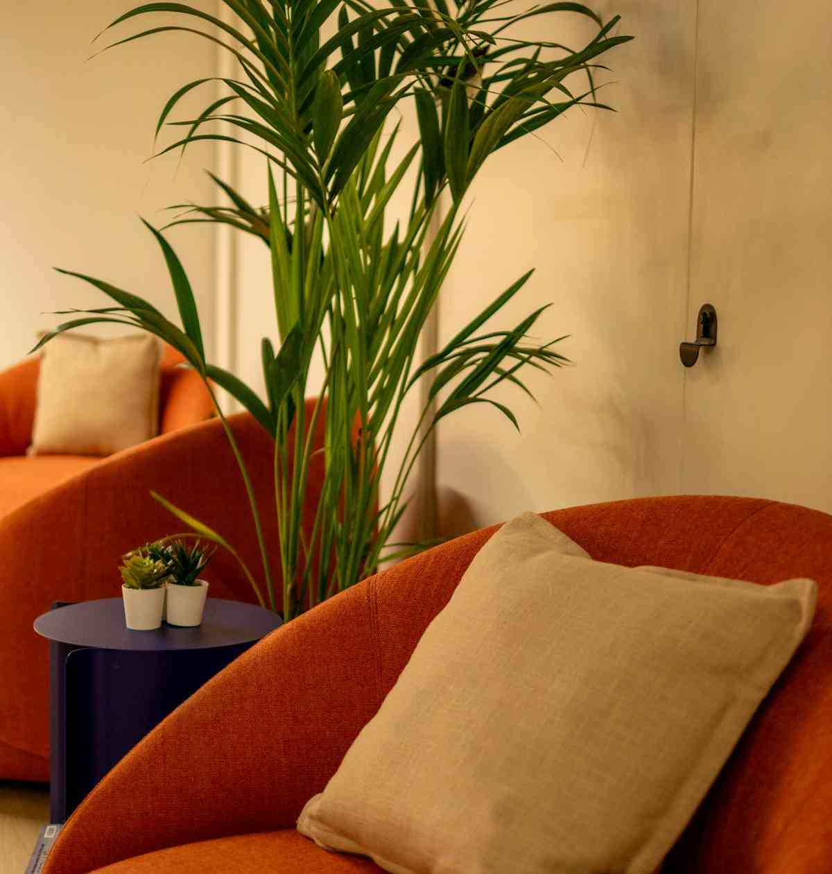 Coworking area