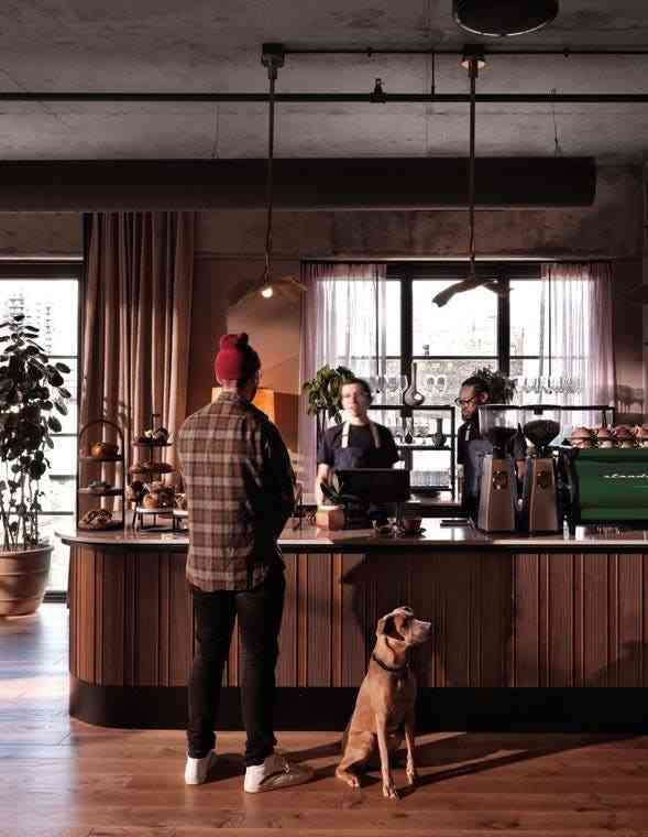 Cafe