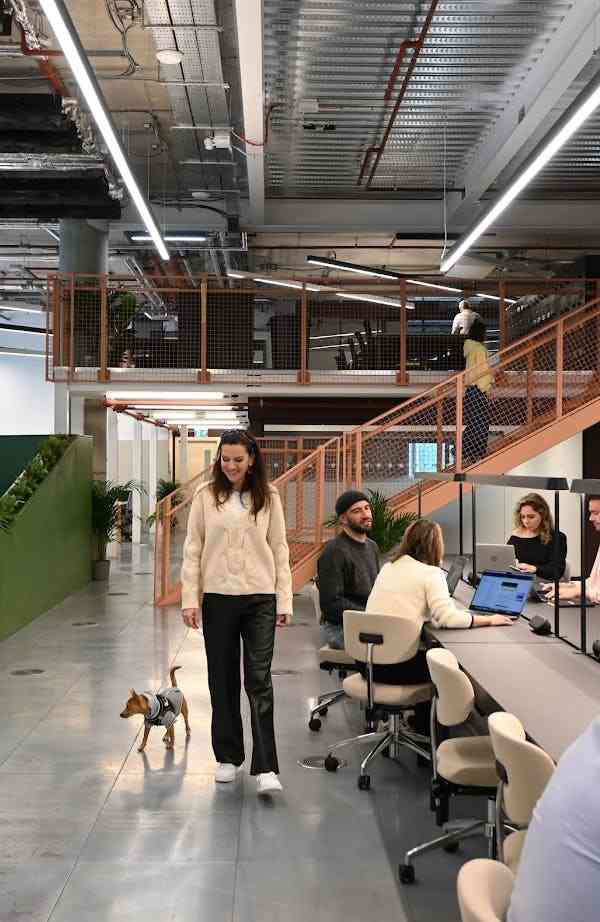 Coworking area