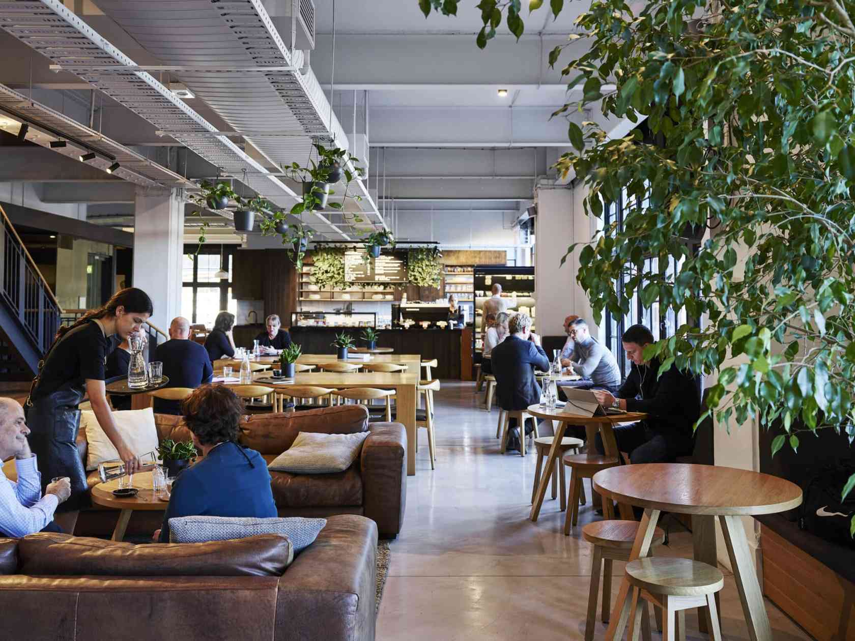 Breakout area