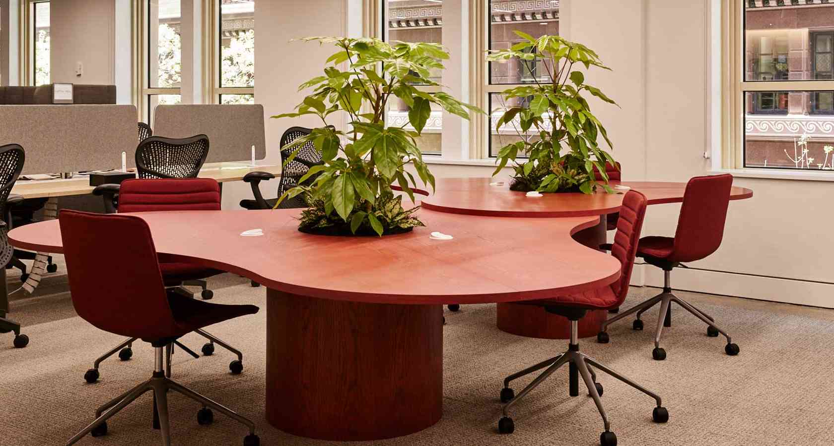 Coworking area