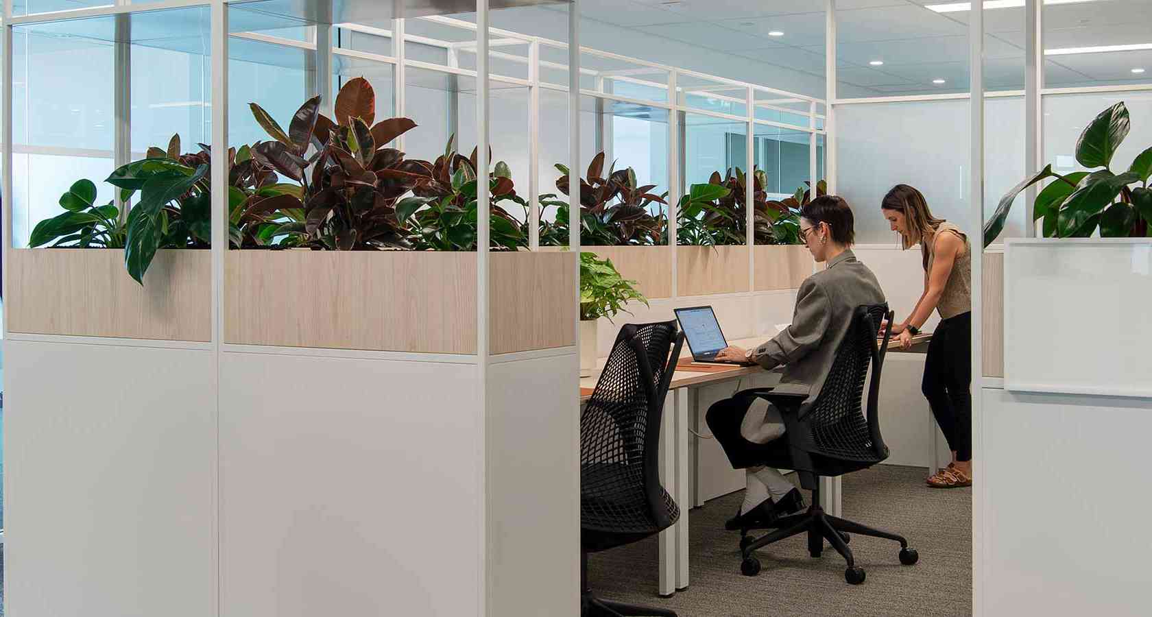 Coworking area