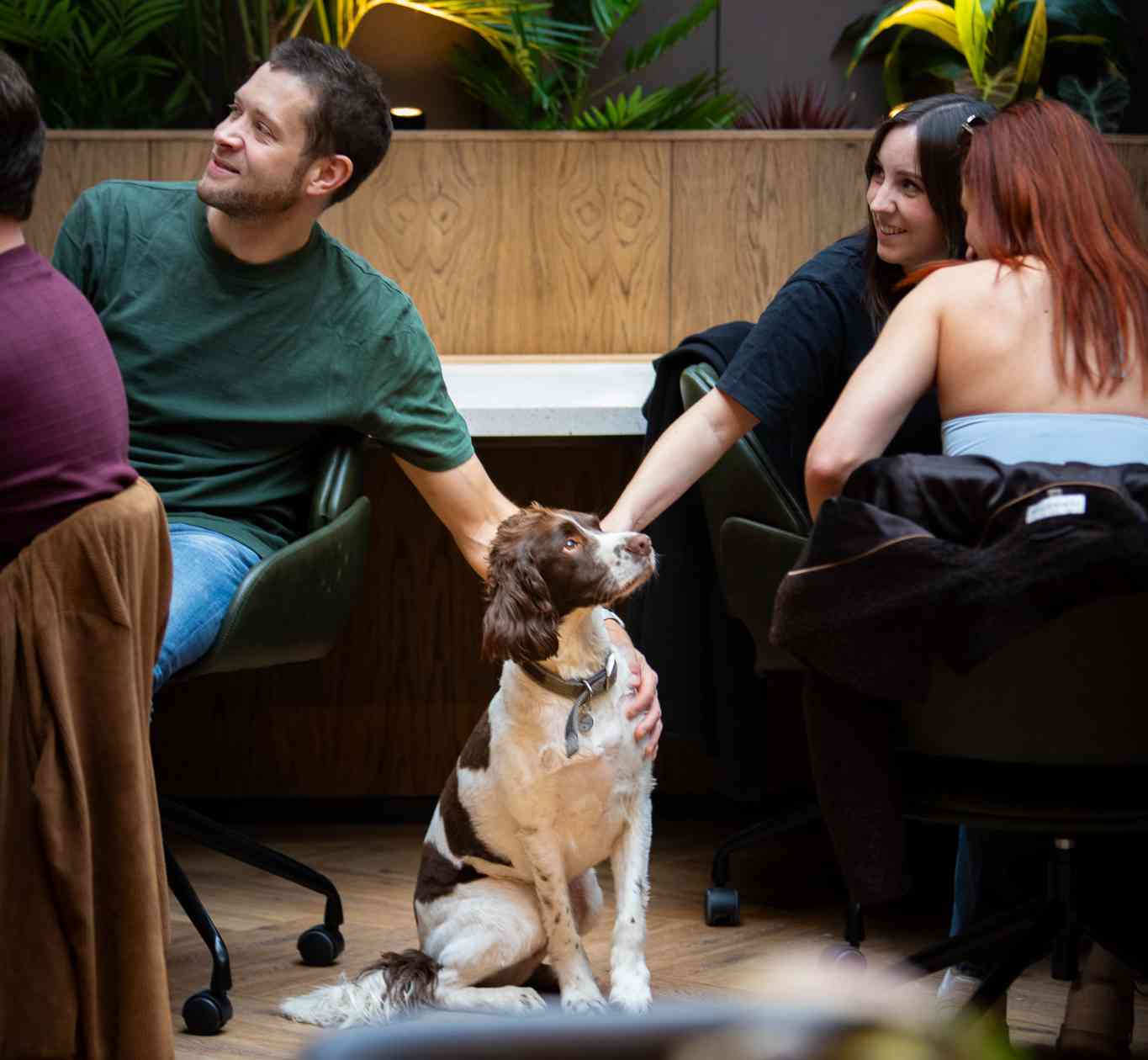 Coworking area