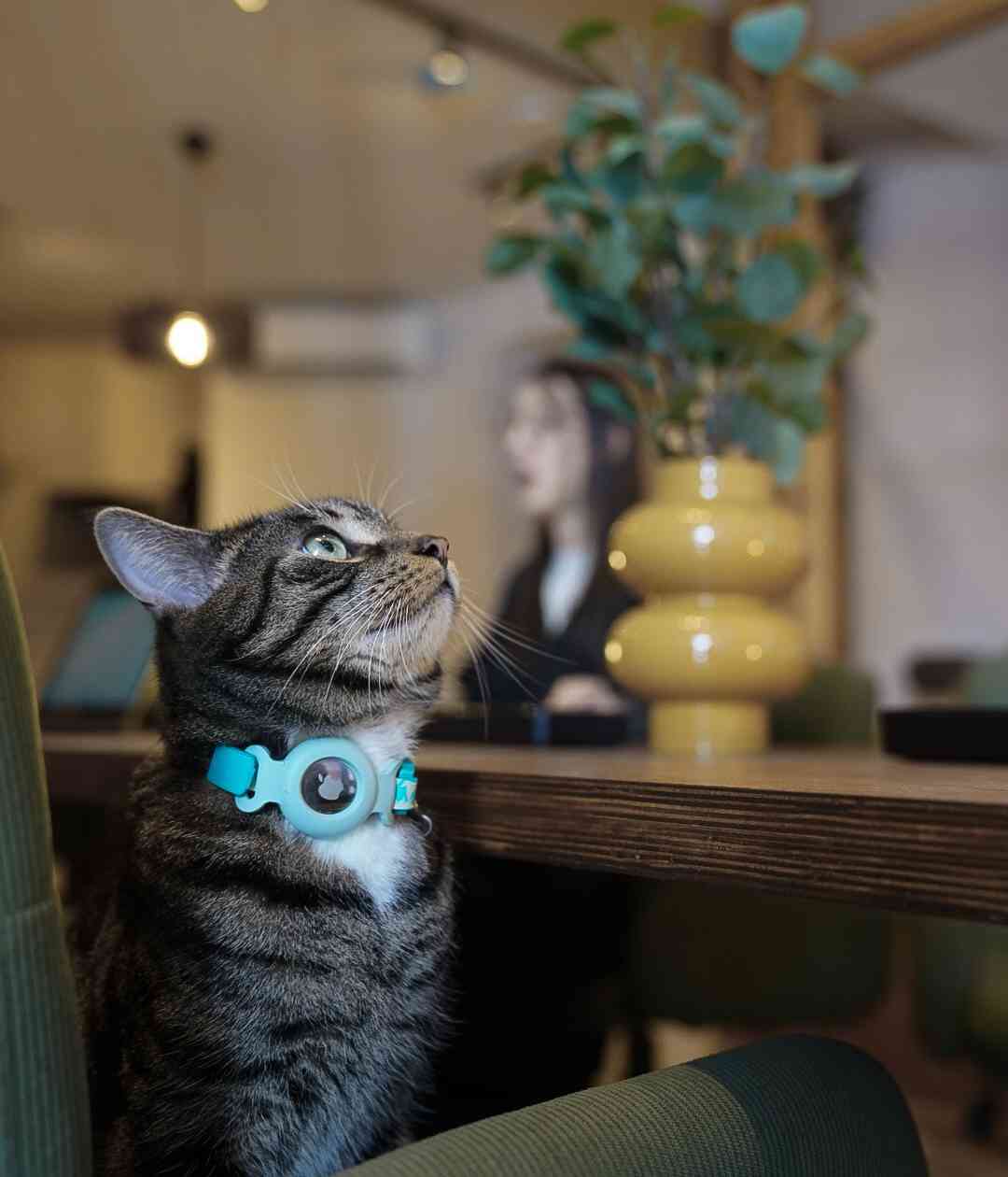 Coworking area