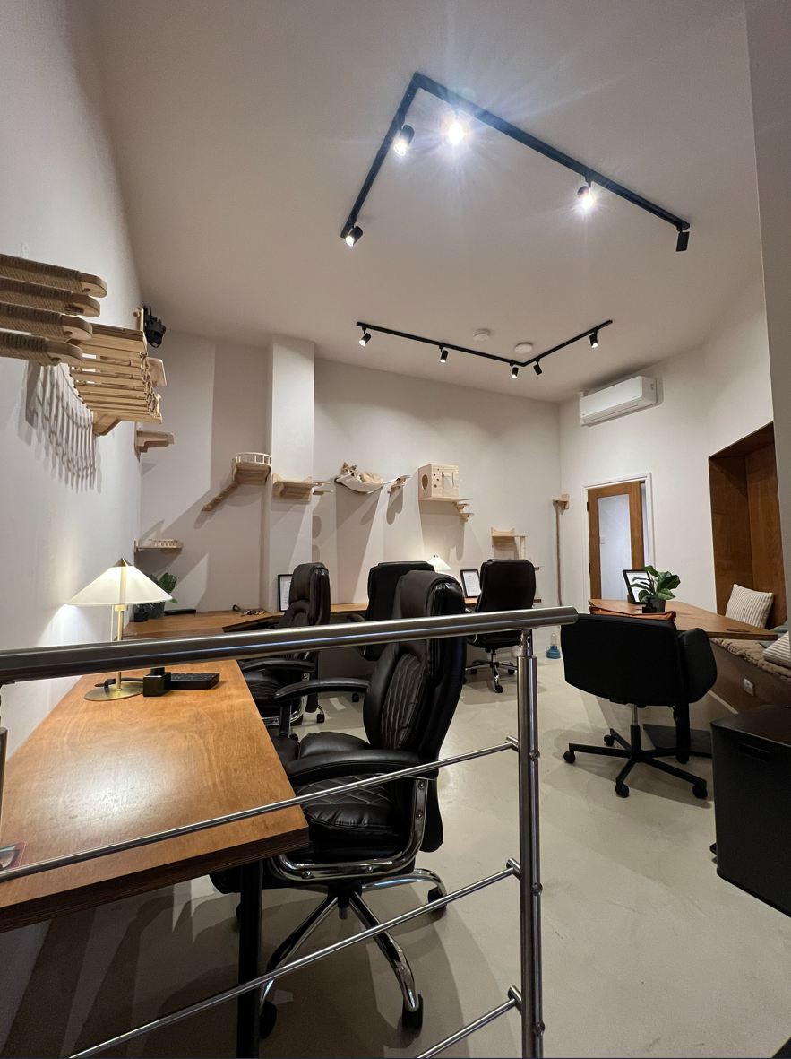 Coworking area