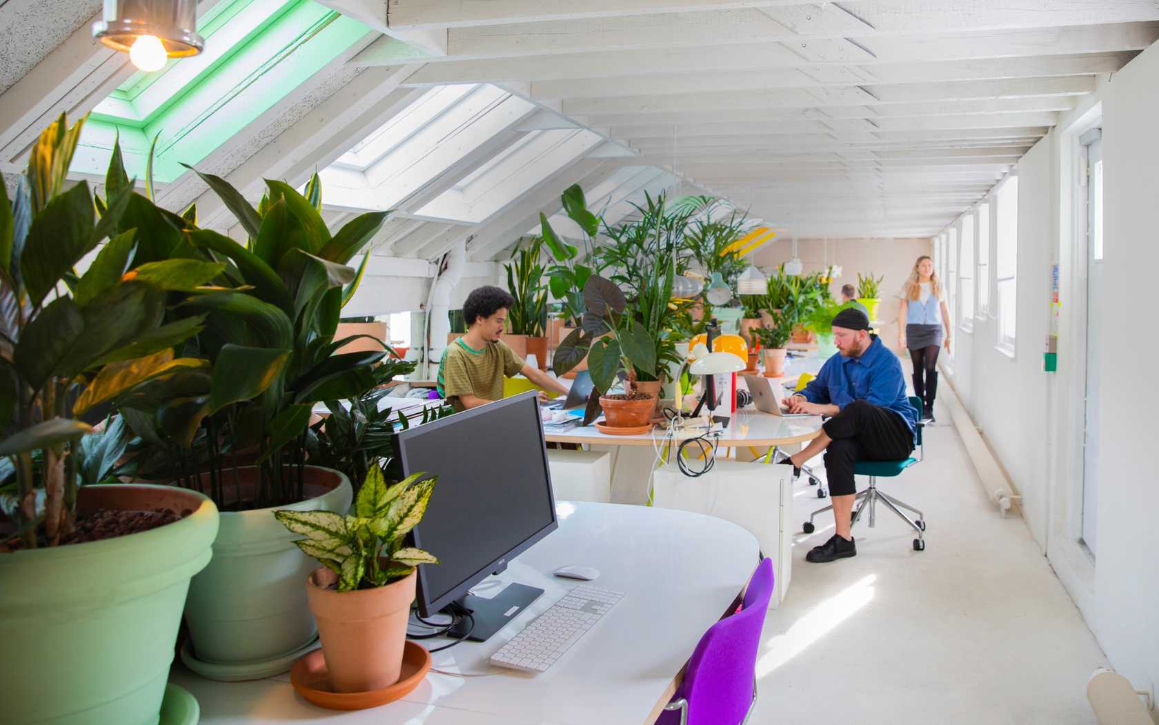 Day Offices